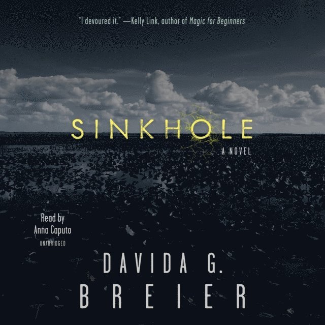 Davida G. Breier - Sinkhole, Ljudbok