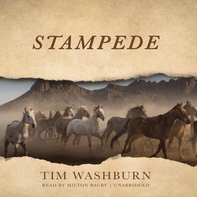 Tim Washburn - Stampede, Ljudbok