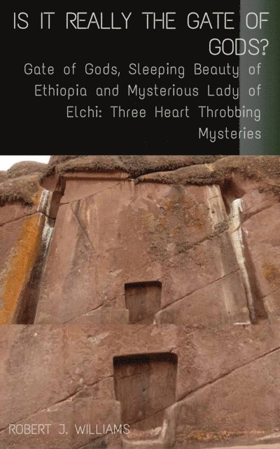 Robert J. Williams - Is It Really the Gate of Gods?, E-bok. Tillgänglighet: Lägg i varukorg