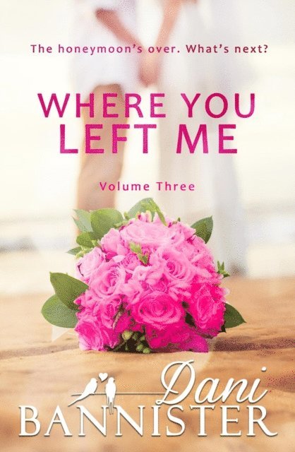 Dani Bannister, Danielle Bannister - Where You Left Me, Vol. 3, E-bok