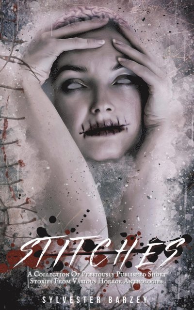 Sylvester Barzey - Stitches, E-bok