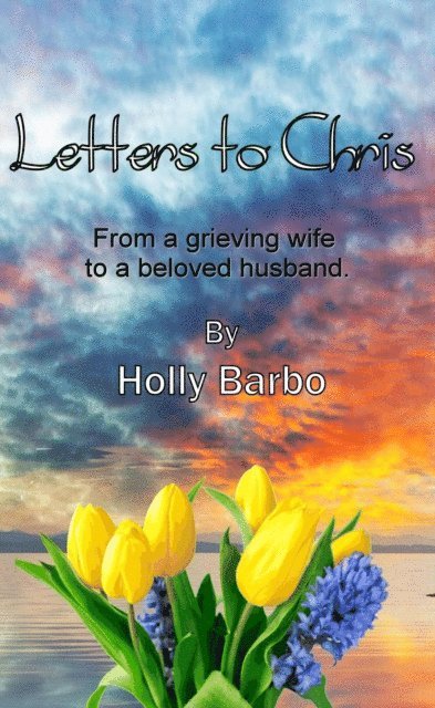 Holly Barbo, Paper Gold Publishing Ltd - Letters to Chris, E-bok