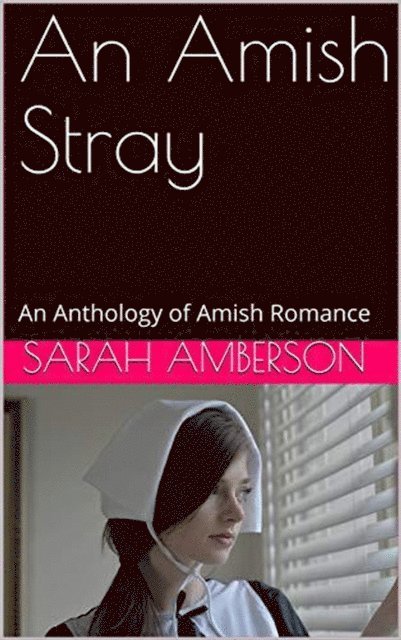 Sarah Amberson - Amish Stray An Anthology of Amish Romance, E-bok