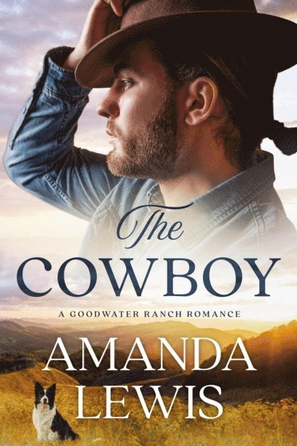Amanda Lewis - Cowboy: A Goodwater Ranch Romance, E-bok