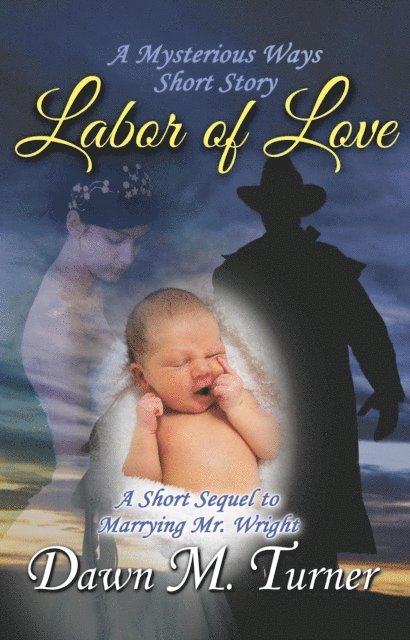Dawn M. Turner - Labor of Love, E-bok. Tillgänglighet: Lägg i varukorg