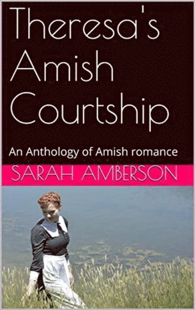 Sarah Amberson - Theresa's Amish Courtship, E-bok