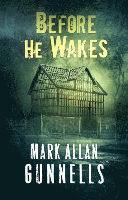 Mark Allan Gunnells - Before He Wakes, E-bok