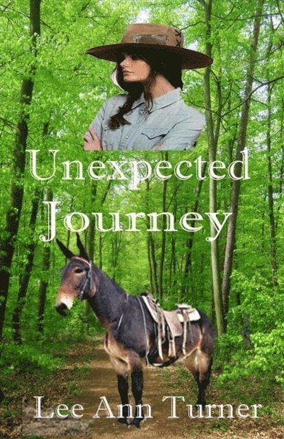 Lee Ann Turner - Unexpected Journey, E-bok