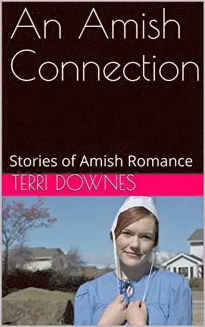 Terri Downes - Amish Connection, E-bok. Tillgänglighet: Lägg i varukorg