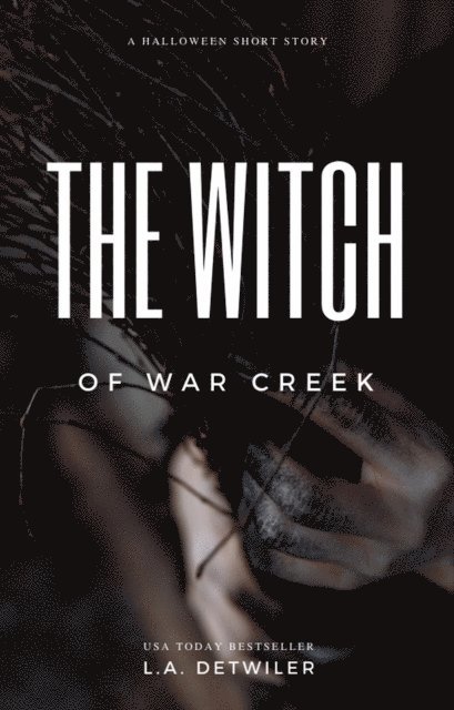 L.A. Detwiler - Witch of War Creek, E-bok