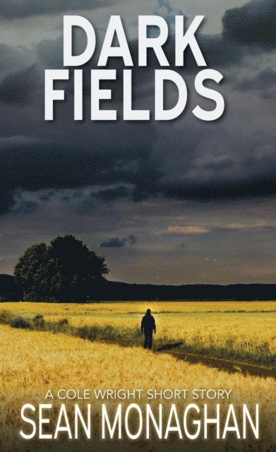 Sean Monaghan - Dark Fields, E-bok