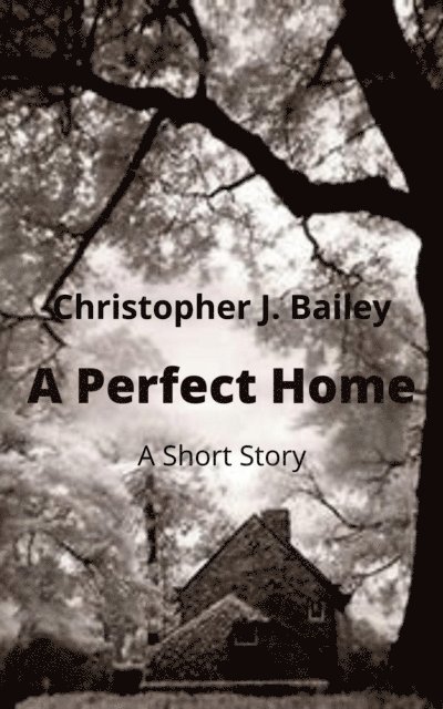 Christopher J. Bailey - Perfect Home, E-bok