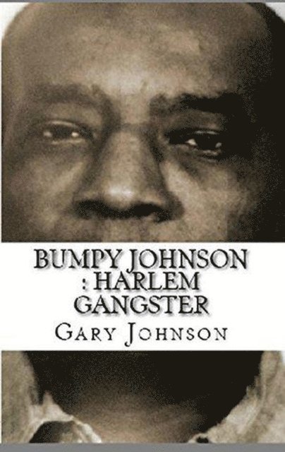 Gary Johnson - Bumpy Johnson : Harlem Gangster, E-bok