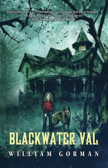 William Gorman - Blackwater Val, E-bok