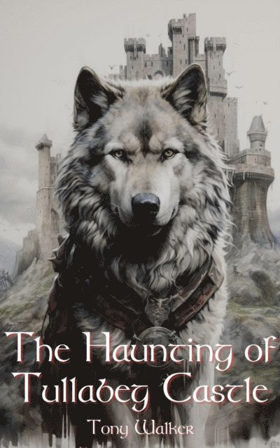 Tony Walker - Haunting of Tullabeg Castle, E-bok