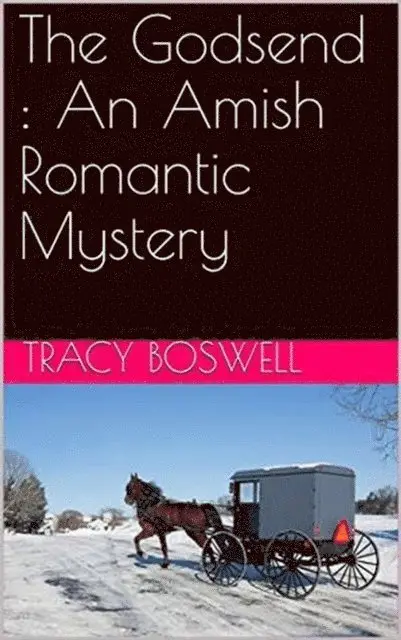 Tracy Boswell - Godsend : An Amish Romantic Mystery, E-bok. Tillgänglighet: Lägg i varukorg
