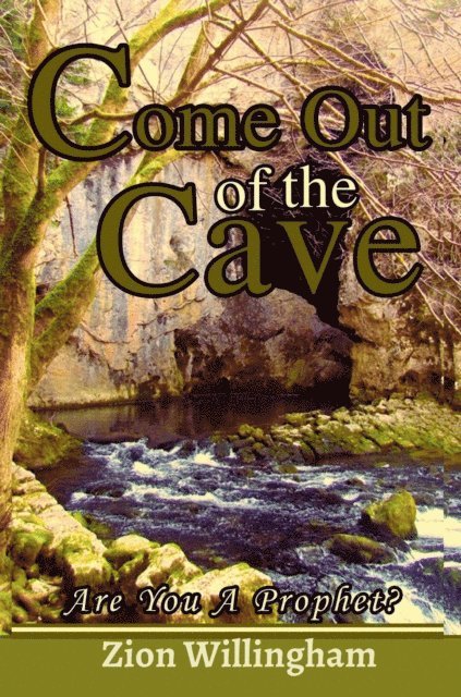 Zion Willingham - Come Out Of The Cave, E-bok