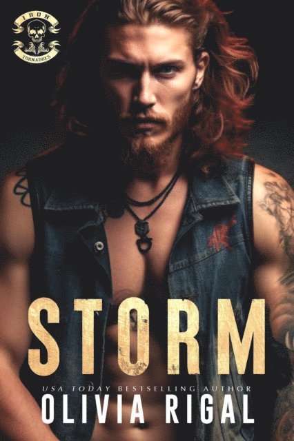 Olivia Rigal - Storm, E-bok