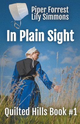 Bev Haynes, Jewel Adams - In Plain Sight, Häftad