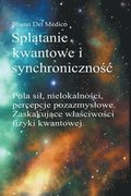 Spl?tanie kwantowe i synchroniczno?c Carla Junga