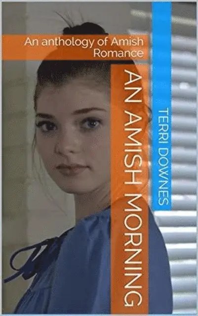 Terri Downes - Amish Morning, E-bok. Tillgänglighet: Lägg i varukorg
