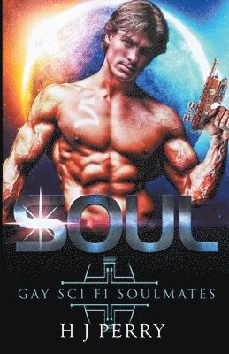 H J Perry - Soul [Gay Sci Fi Soulmates], Häftad