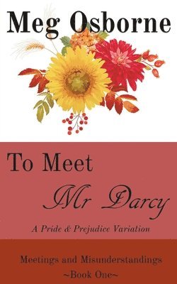Meg Osborne - To Meet Mr Darcy, Häftad