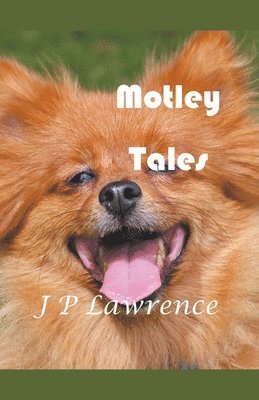 J P Lawrence - Motley Tales, Häftad. Tillgänglighet: Lägg i varukorg