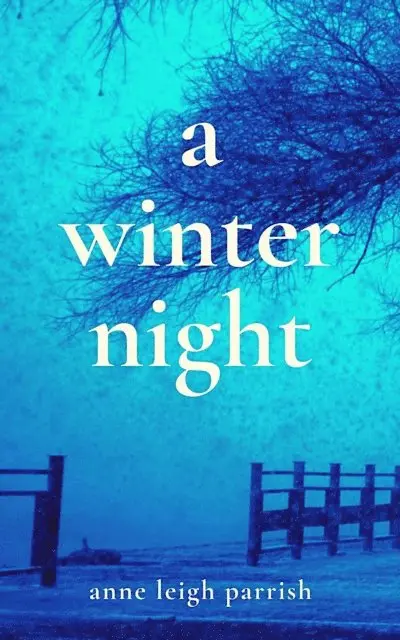 Anne Leigh Parrish - Winter Night, E-bok. Tillgänglighet: Lägg i varukorg