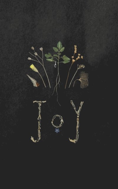 Francis Daulerio - Joy, E-bok