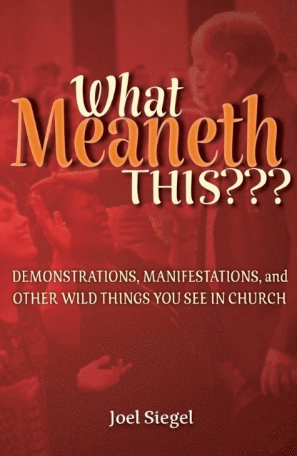 Joel Siegel - What Meaneth This?, E-bok