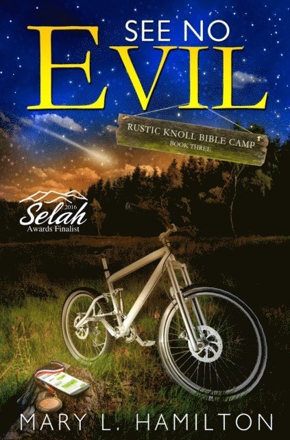 Mary L Hamilton - See No Evil, E-bok