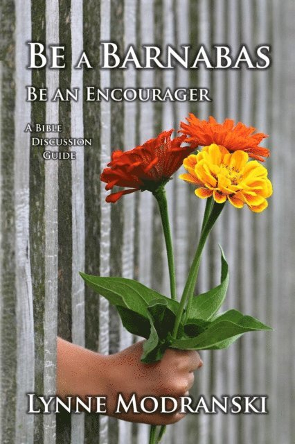 Lynne Modranski - Be A Barnabas, E-bok