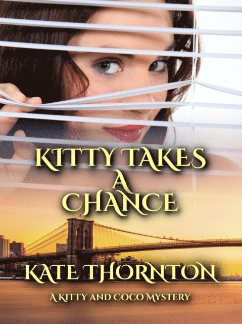 Kate Thornton - Kitty Takes a Chance, E-bok
