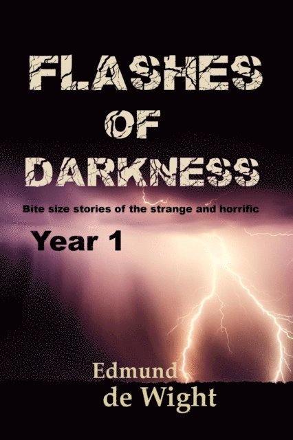 Edmund de Wight - Flashes of Darkness Year 1, E-bok