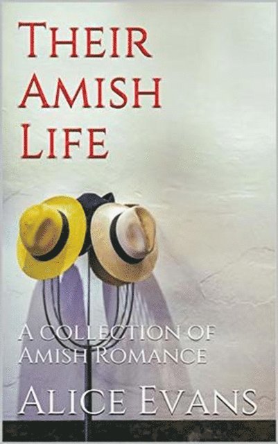 Alice Evans - Their Amish Life, E-bok