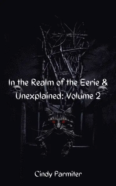 Cindy Parmiter - In The Realm of the Eerie & Unexplained: Volume 2, E-bok. Tillgänglighet: Lägg i varukorg