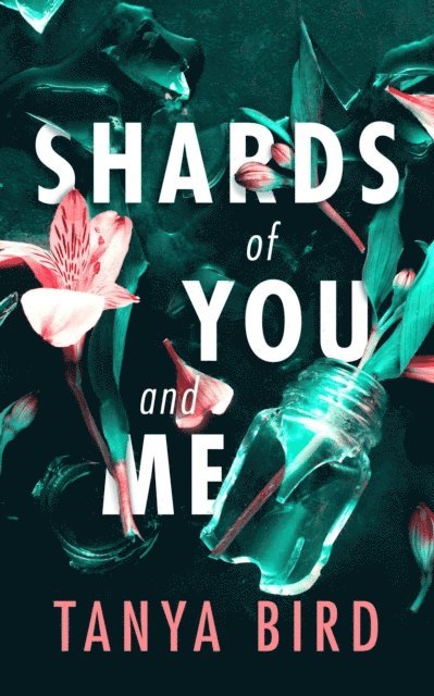 Tanya Bird - Shards of You and Me, E-bok