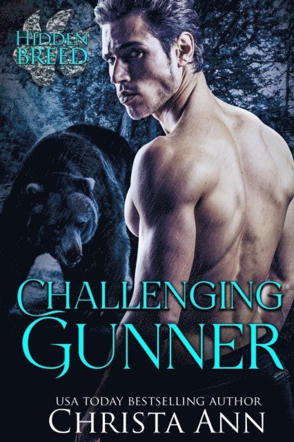 Christa Ann - Challenging Gunner, E-bok