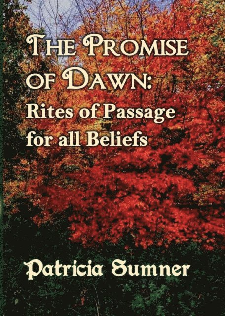 Patricia Sumner - Promise of Dawn, E-bok. Tillgänglighet: Lägg i varukorg