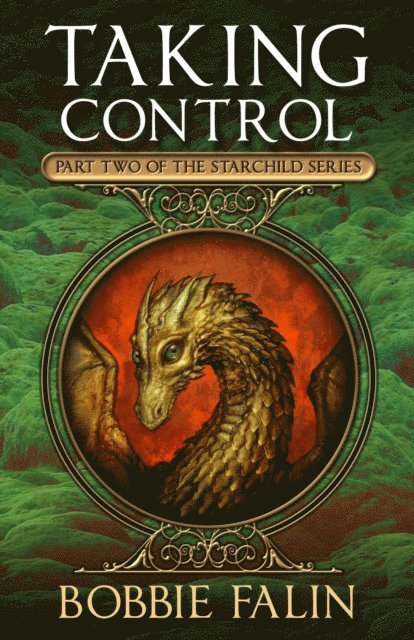 Bobbie Falin - Taking Control, E-bok