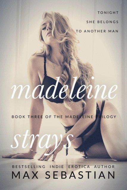 Max Sebastian - Madeleine Strays, E-bok