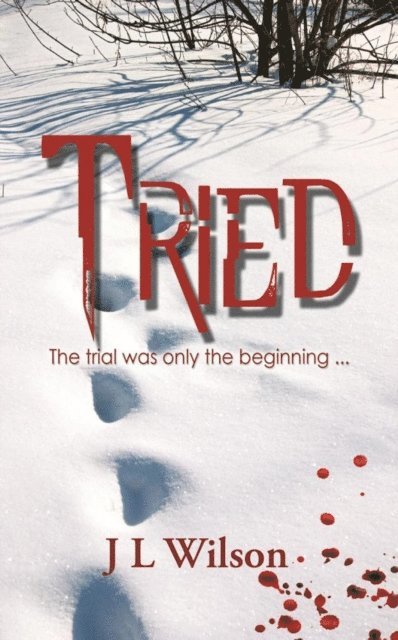 J L Wilson - Tried, E-bok