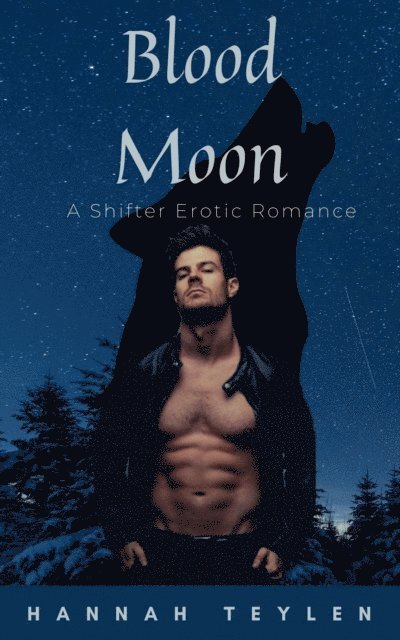 Hannah Teylen - Bloodmoon, E-bok