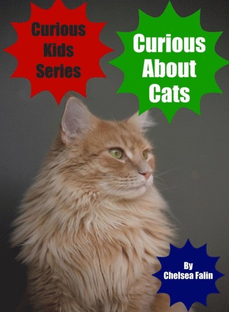 Chelsea Falin - Curious About Cats, E-bok. Tillgänglighet: Lägg i varukorg