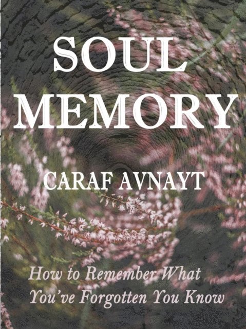 Caraf Avnayt - Soul Memory, E-bok. Tillgänglighet: Lägg i varukorg