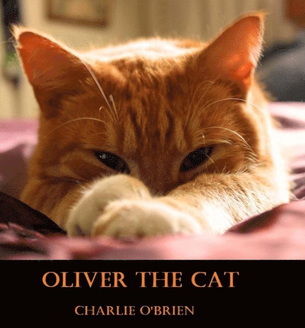 Charlie O'Brien - Oliver the Cat, E-bok. Tillgänglighet: Lägg i varukorg