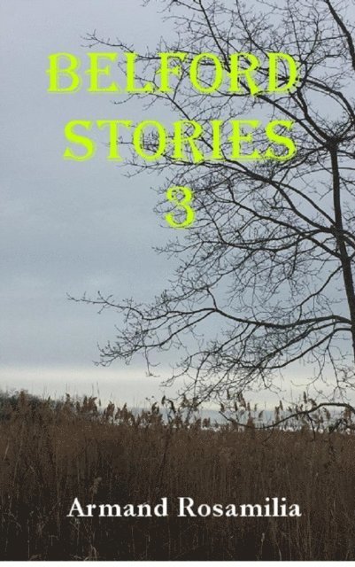 Armand Rosamilia - Belford Stories 3, E-bok