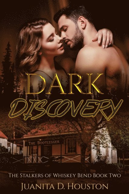 Juanita D. Houston - Dark Discovery, E-bok