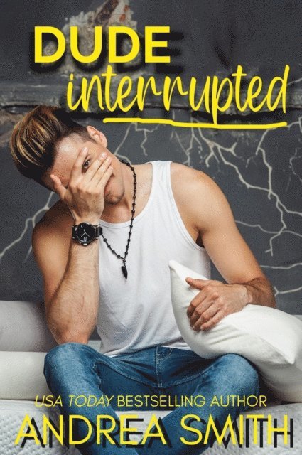 Andrea Smith - Dude Interrupted, E-bok
